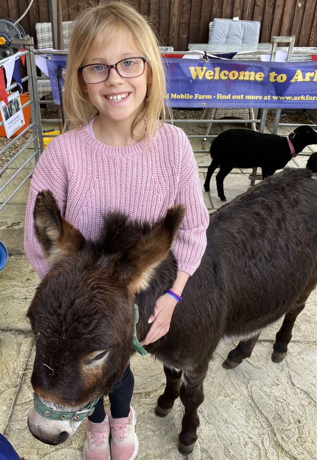 A youngster meets a donkey