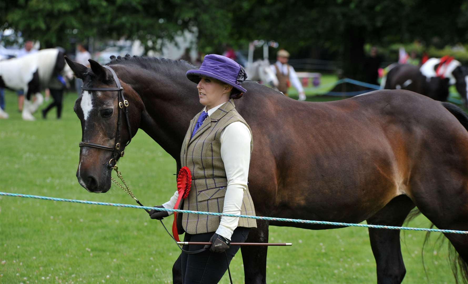 A competitor takes part in a showing class in Long Sutton