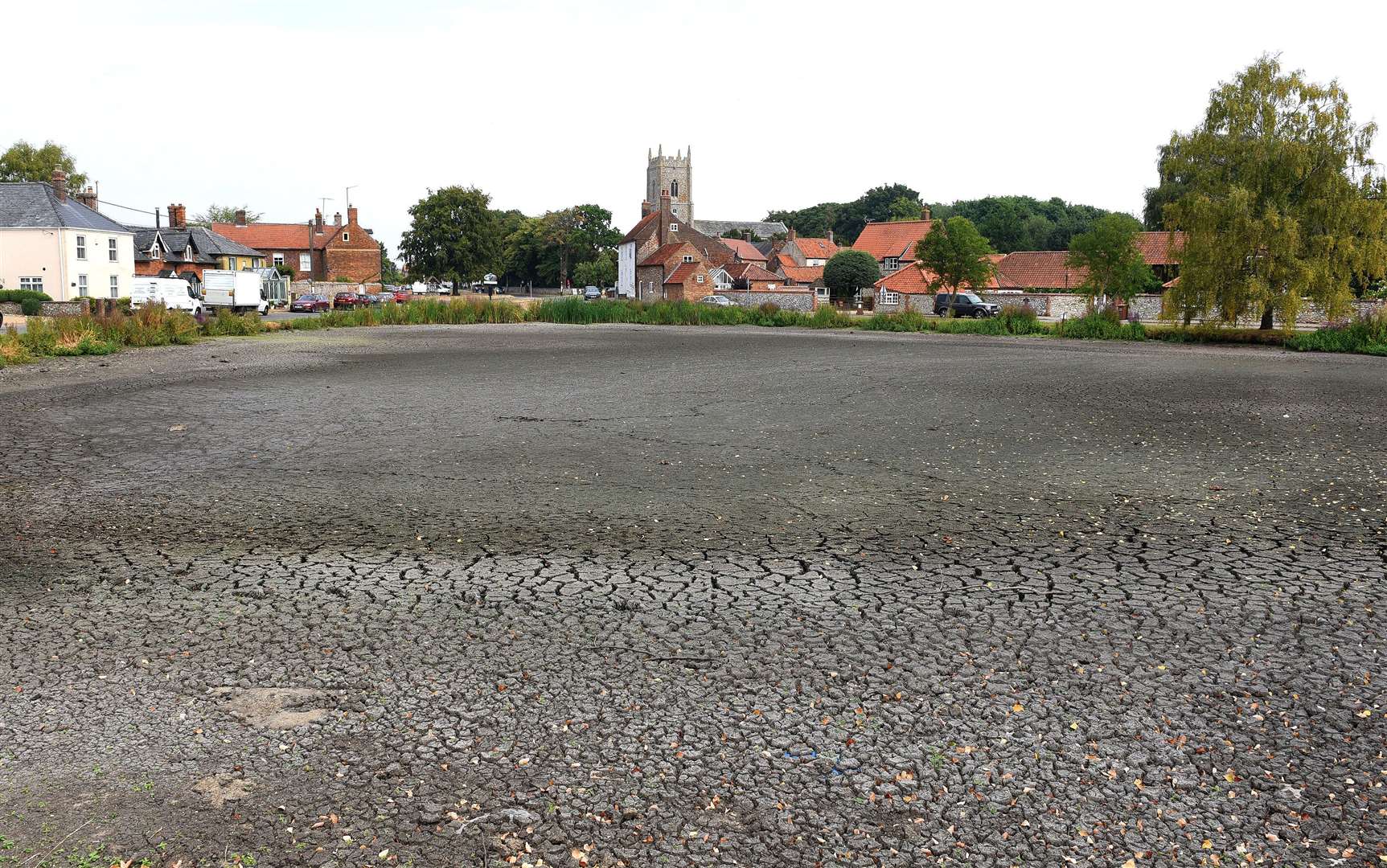 The drought has seen ponds dry up and river levels drop, all affecting wildlife