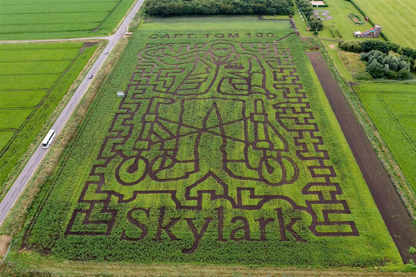Skylark Maize Maze (49041194)