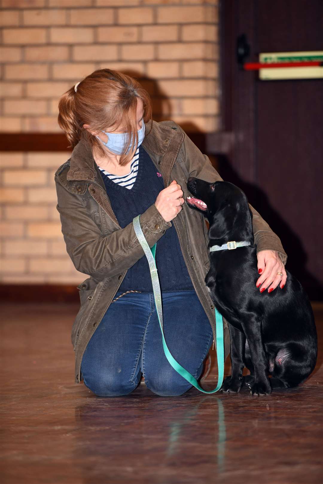 March dog training class. (54113535)