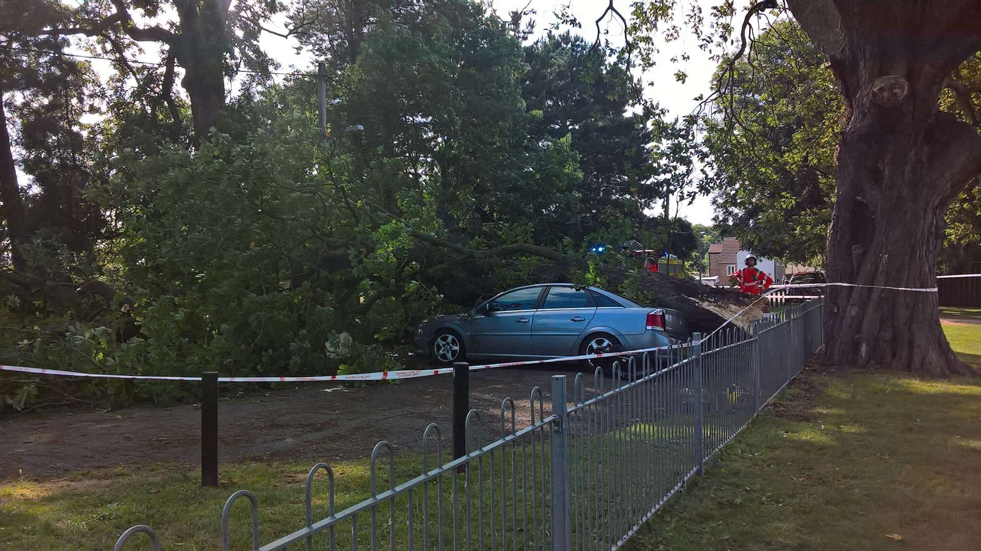 The massive branch crushed the parked car but the driver escaped with only minor injuries. (13826001)