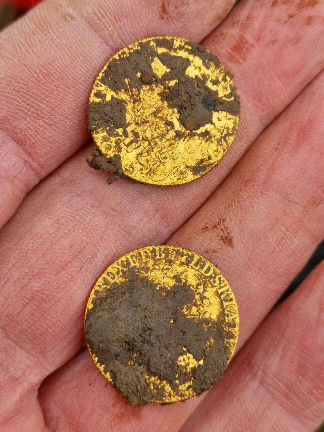 Eight gold coins were found