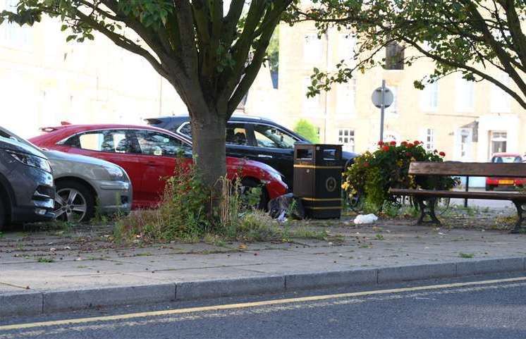 Weeds are once again going to be the topic for discussion by councillors.