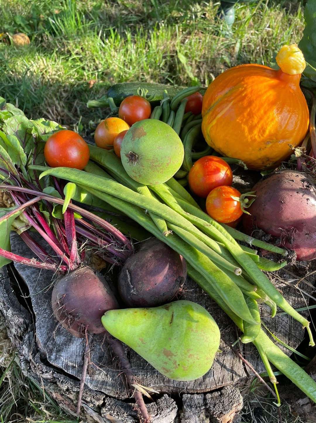 Crops grown on allotments include a wide variety of fruit and vegetables.