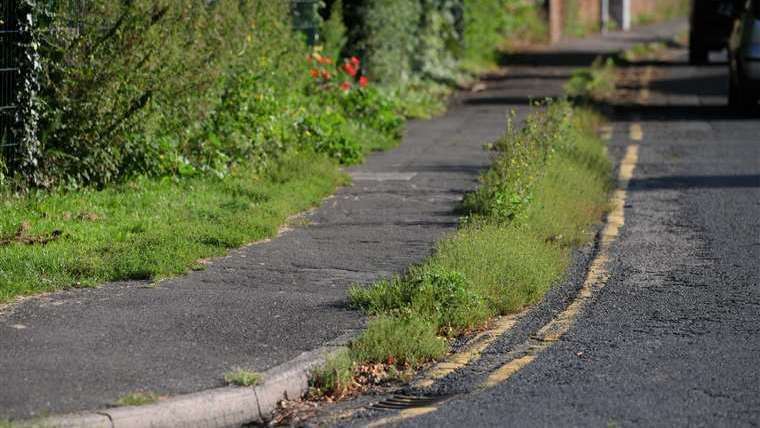 It was scenes like this last summer that sparked a public outcry and led to a reversal of the council’s no-spray policy.