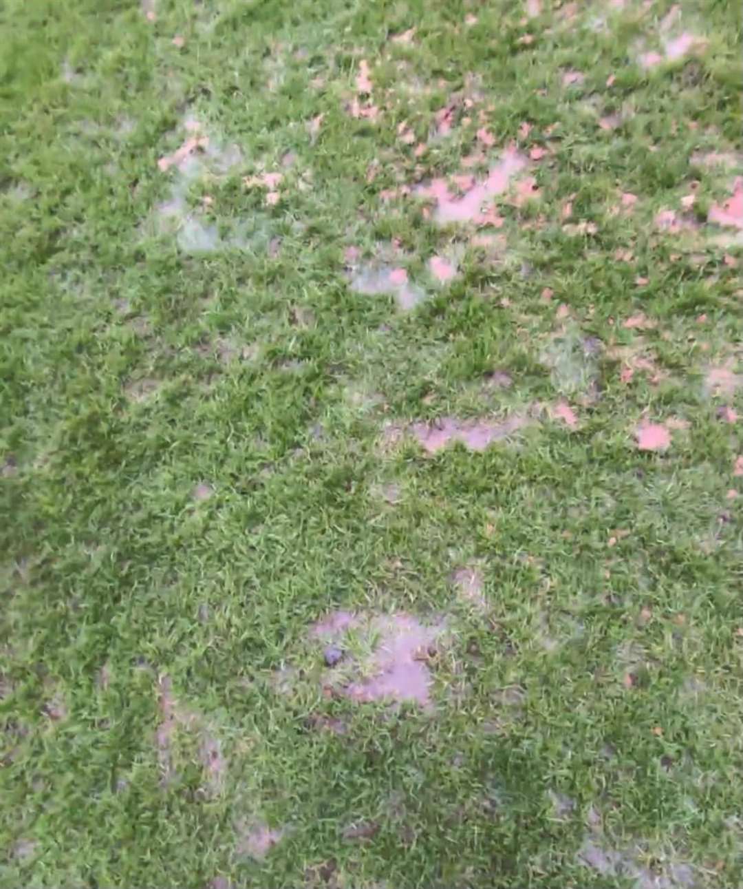 Wisbech Town, March Town and Parson Drove all saw their games postponed due to waterlogged pitches this afternoon.