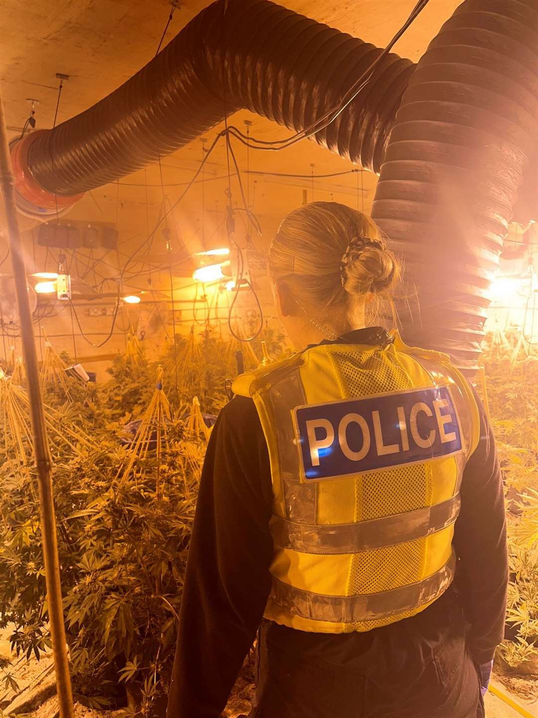 A cannabis factory with over 400 plants has been uncovered by police in Murrow.