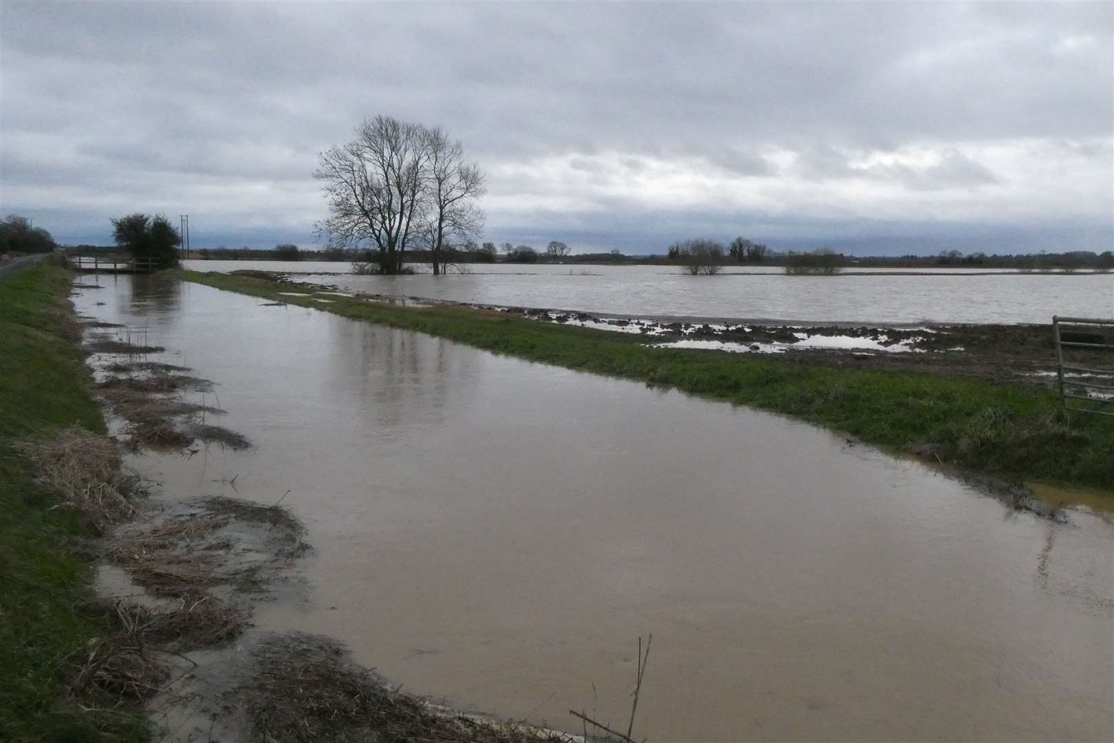 2024 has blustered its way in with heavy rain and stormy weather – Let’s all hope that is not an omen for what’s to come in the next 12 months.