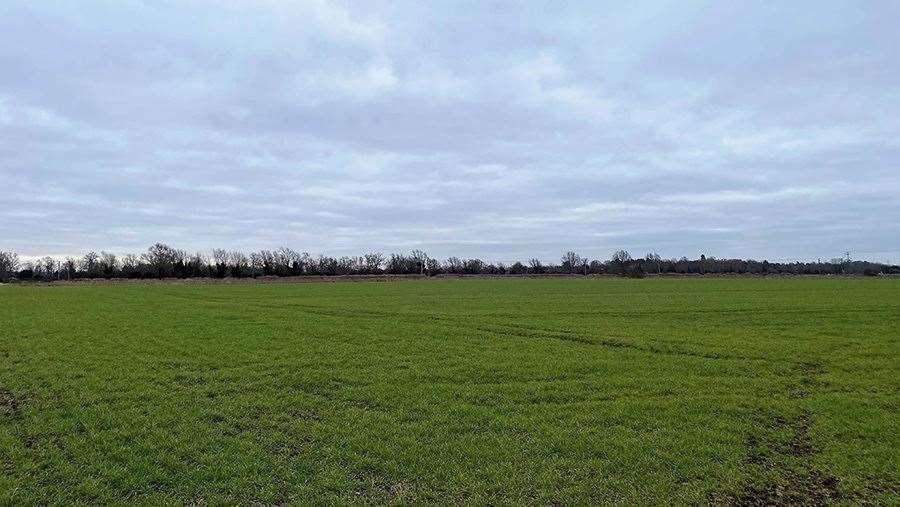 Limes Farm. Photo: Cambs County Council. (61694334)