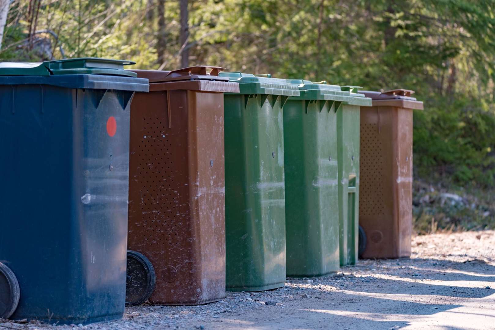 Bin collection changes in Fenland.
