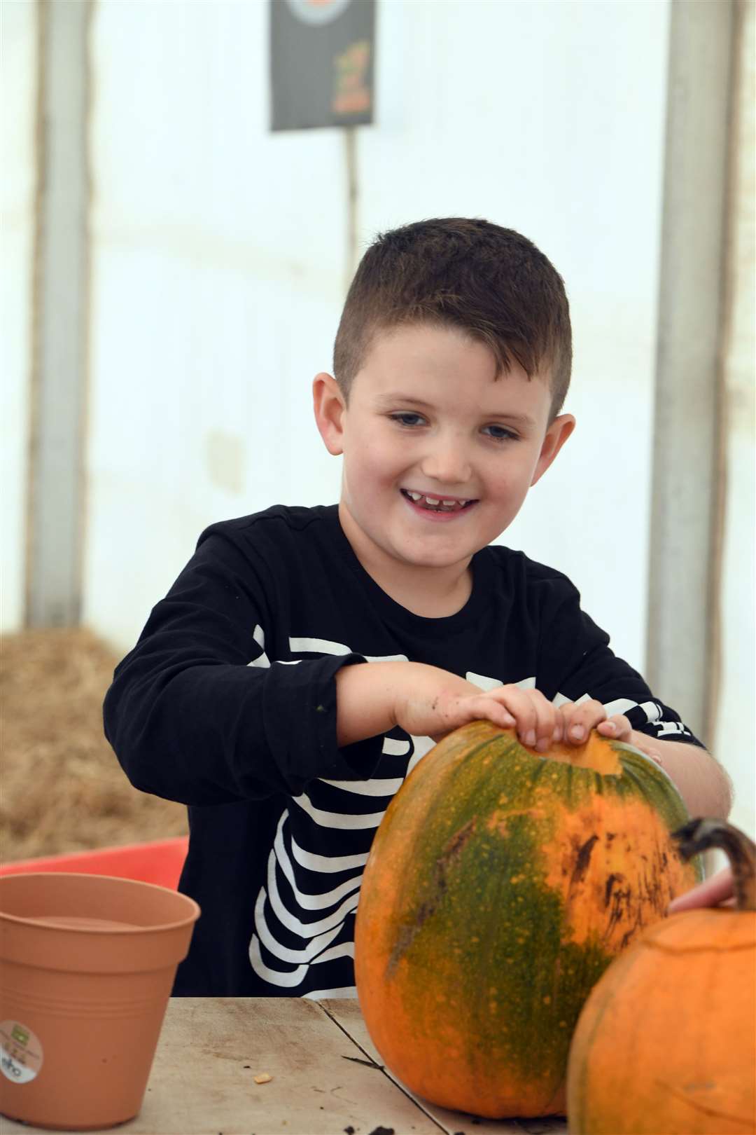 Skylark pumpkin carving and picking....Oliver James. (42846828)