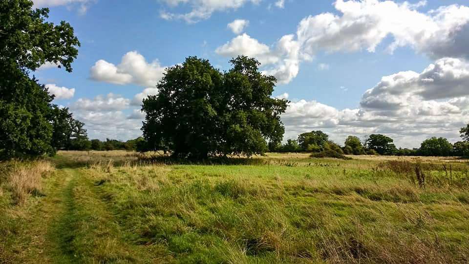 A campaign has been launched to save Wenny Meadow in Chatteris from being built on.