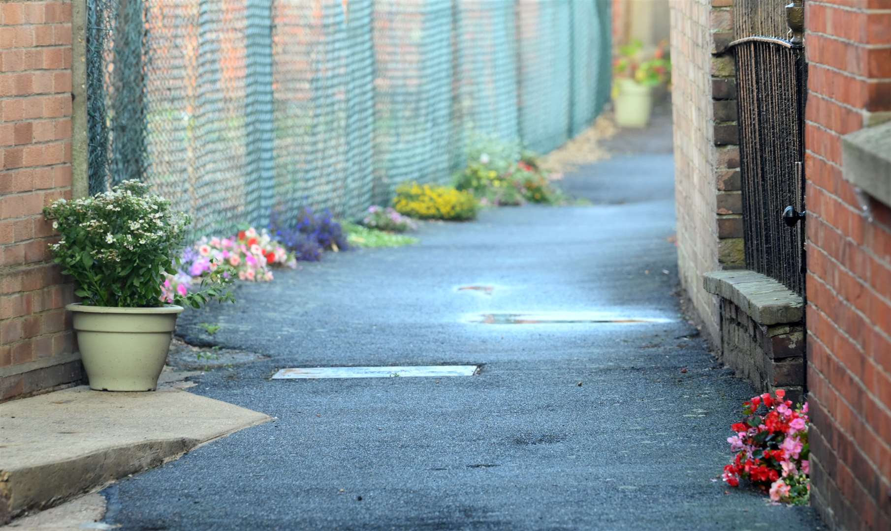Flowers at Ghost Passage in Wisbech. (59145824)