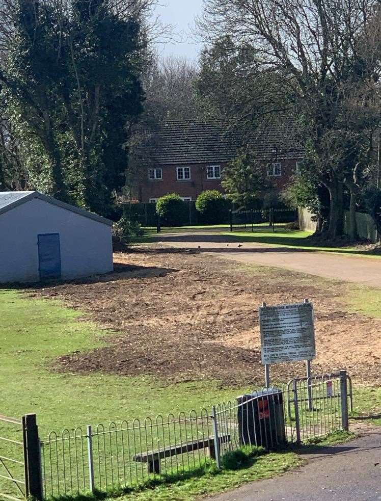 Trees have been removed in preparation for the demolition of the pavilion. PHOTO: SUBMITTED