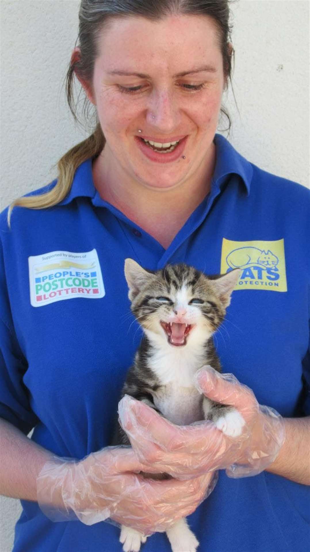 Pickle and his sibling have been cared for round the clock by Lynzi Sizeland from the Cats Protection. (36044434)