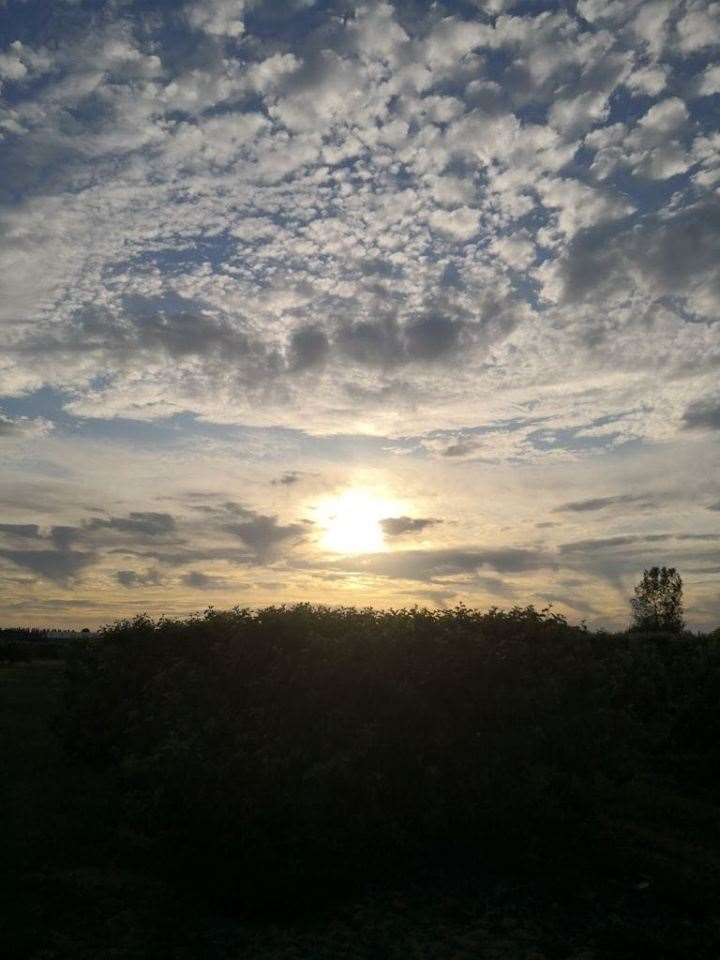 Rox Boughen of Walsoken took this atmospheric photo. (42593455)
