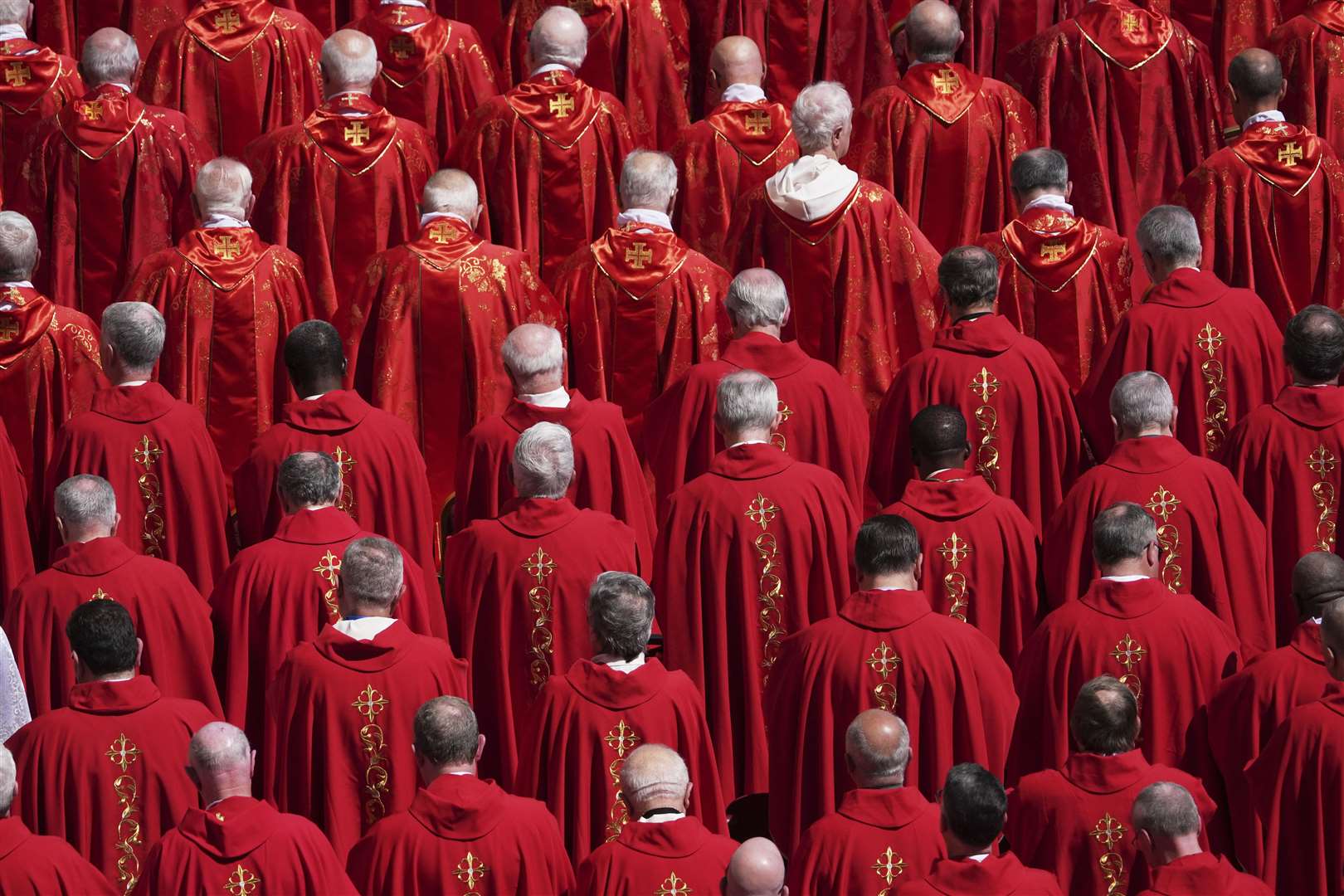 Cardinals at the funeral of Pope Francis (Evan Vucci/AP)