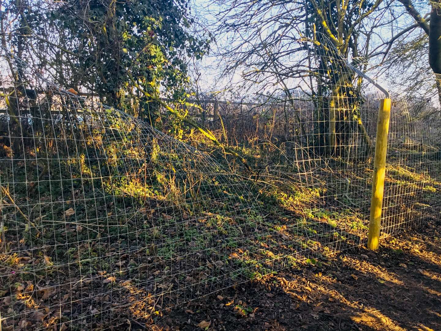 Manea otter fence has been repeatedly vandalised. (6909304)