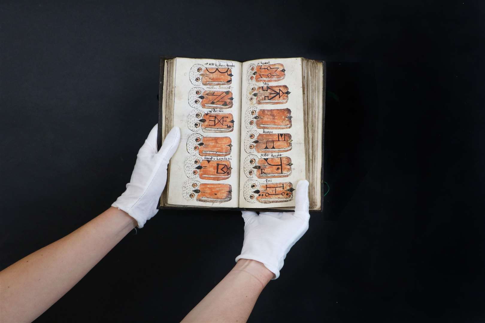 The rare book (58955581)