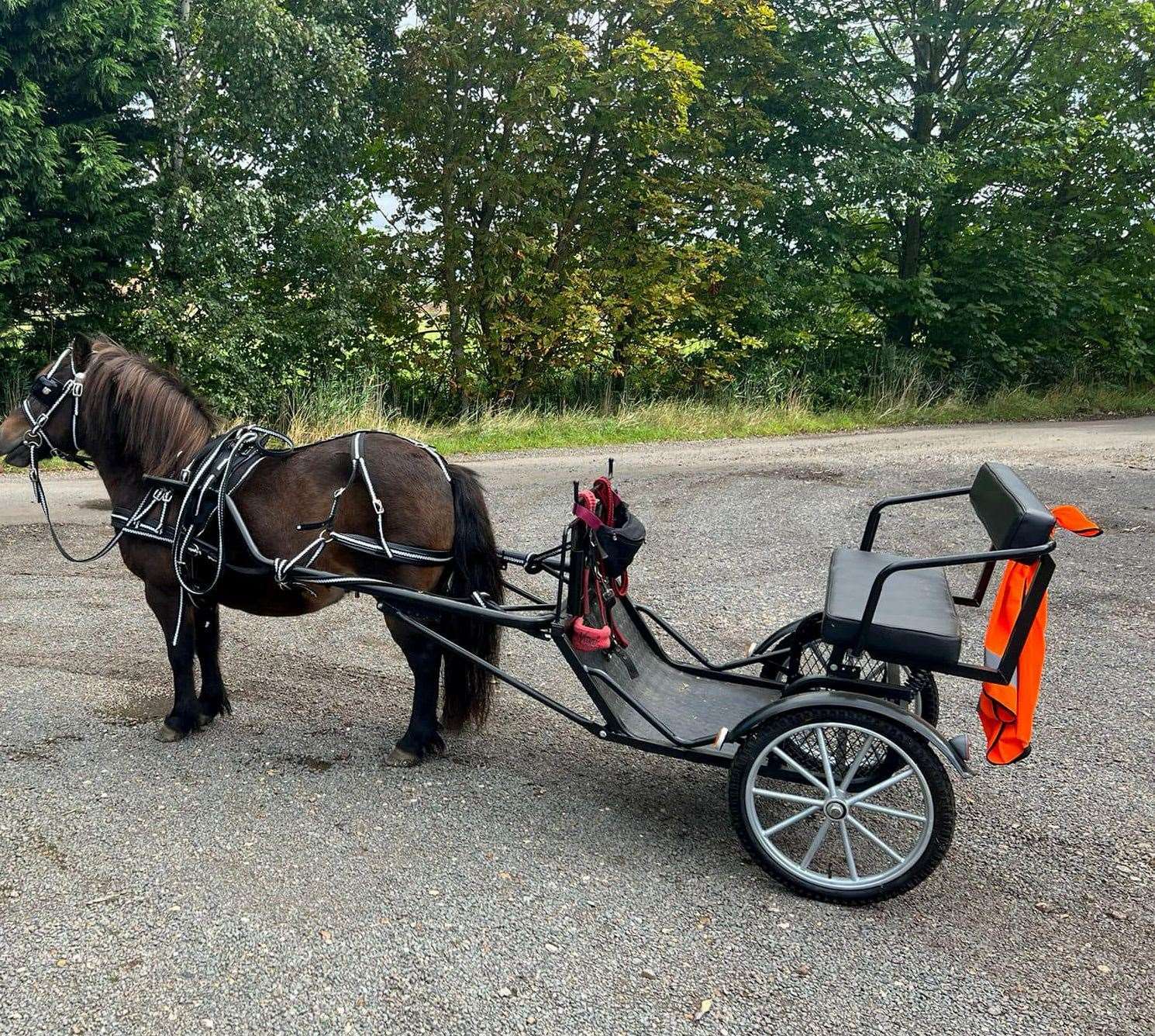 Coco the pony and the cart that was stolen