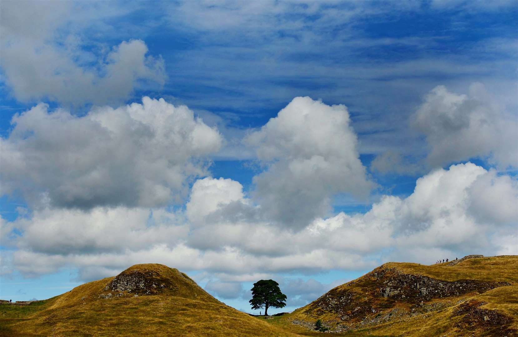Sycamore Gap on Hadrian’s Wall in Northumberland (File/Owen Humphreys/PA)