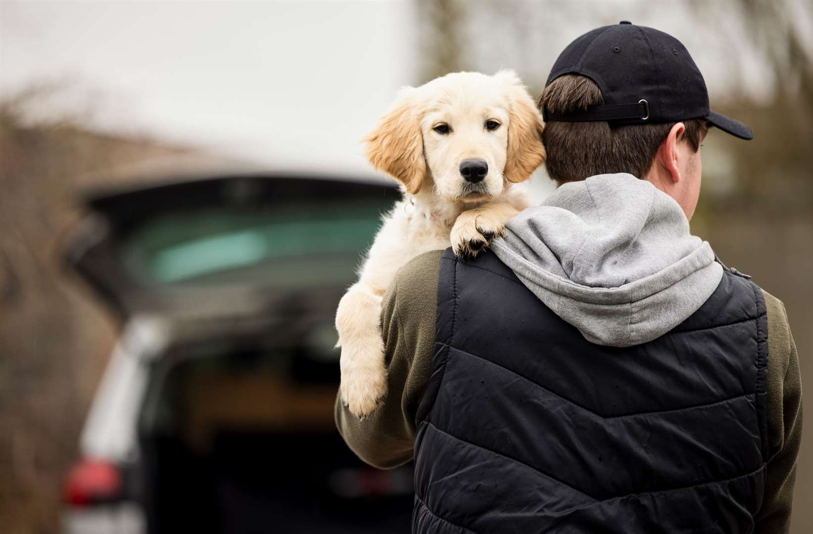 A new government taskforce is being set up to look at the rise in pets stolen during lockdown