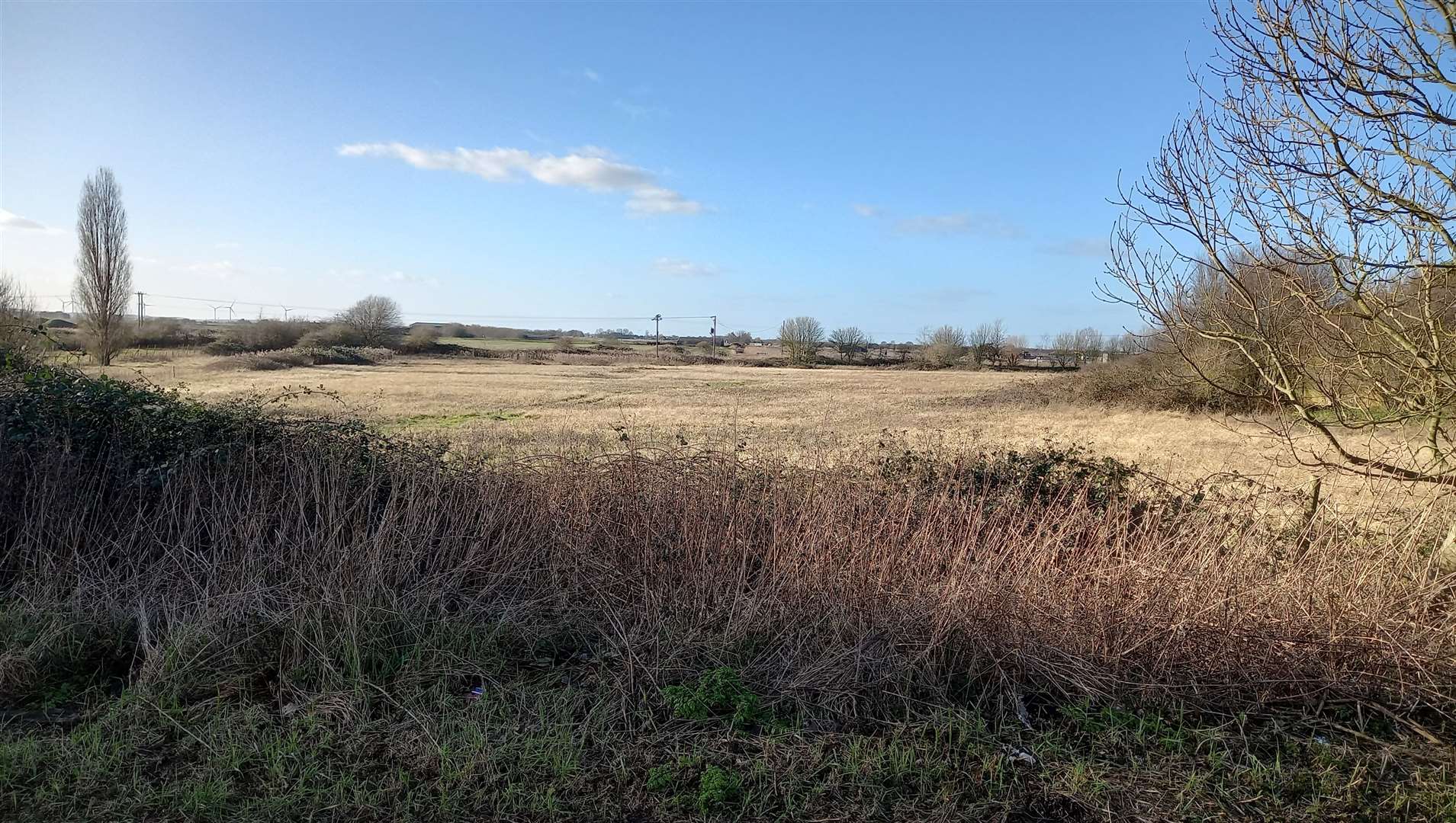 Cllr Perrin wants to stop "overdevelopment" in Chatteris