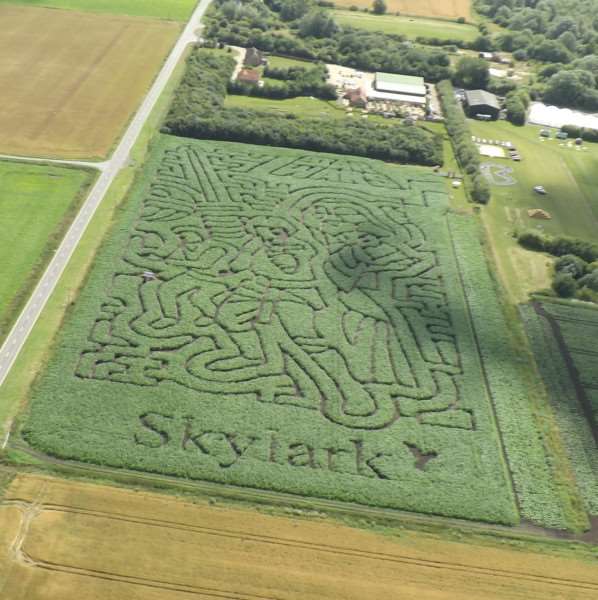 The Skylark maize maze taken from above - this year the theme is Star Wars.