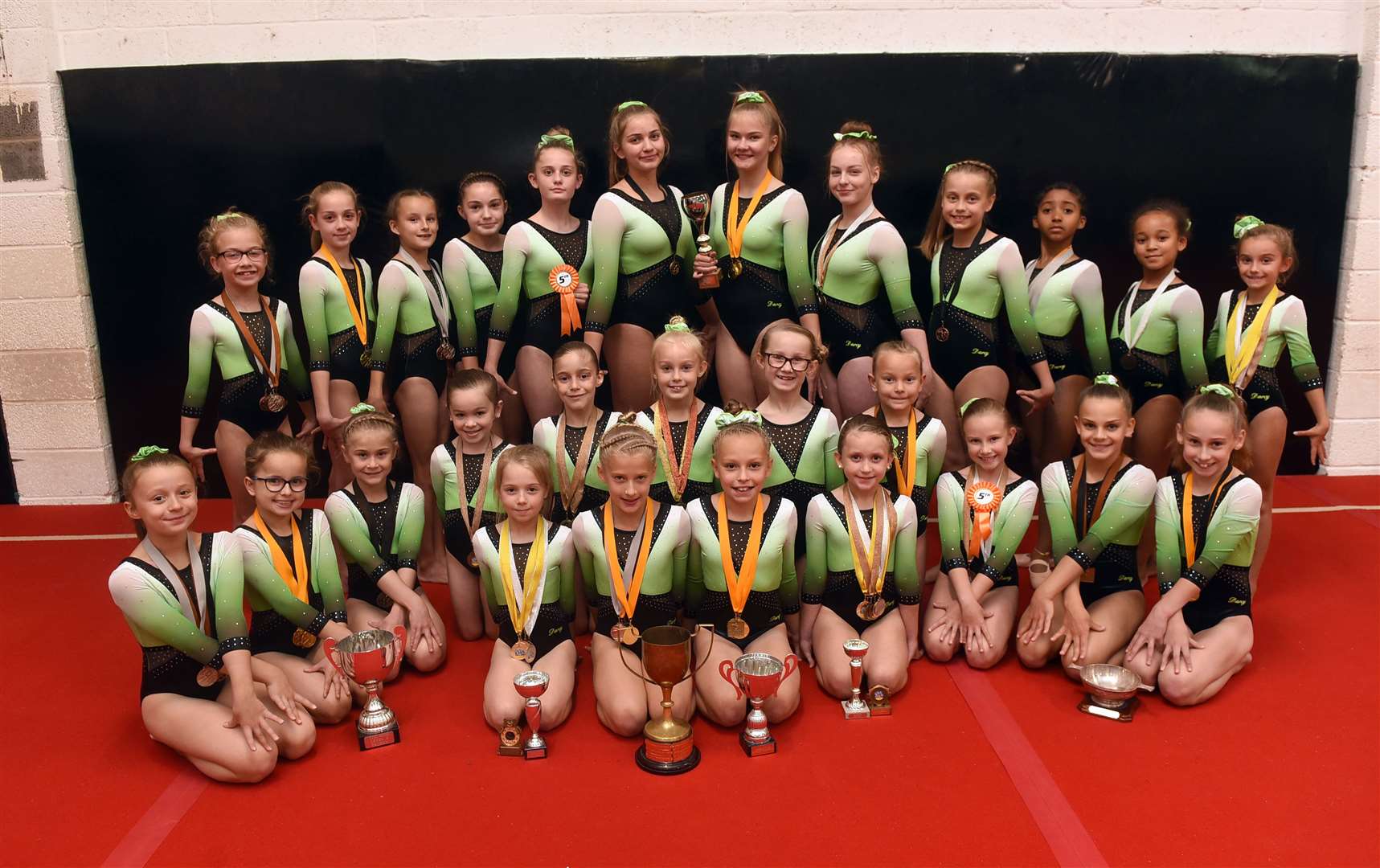 Fenland Gymnastics Club. (18040203)