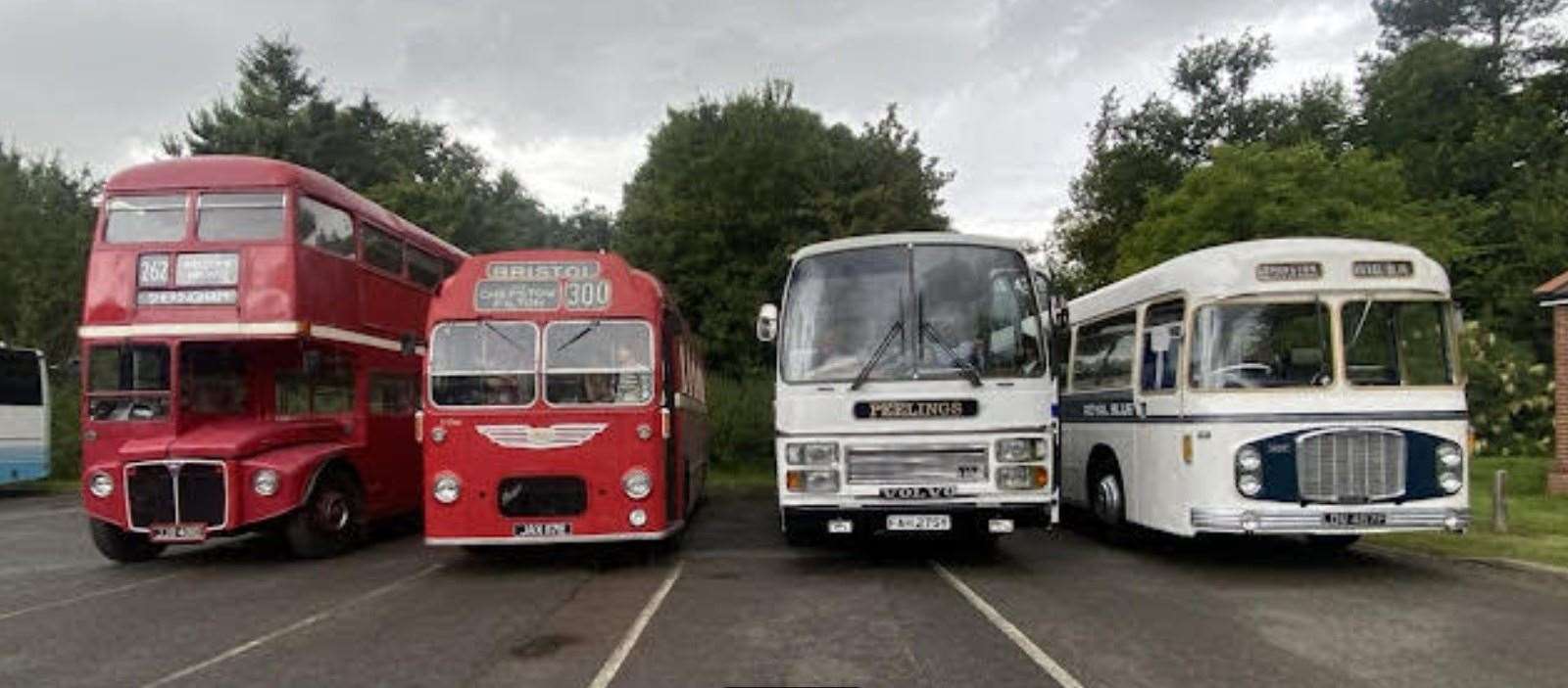 Vintage buses like these will be at the Fenland Bus Show