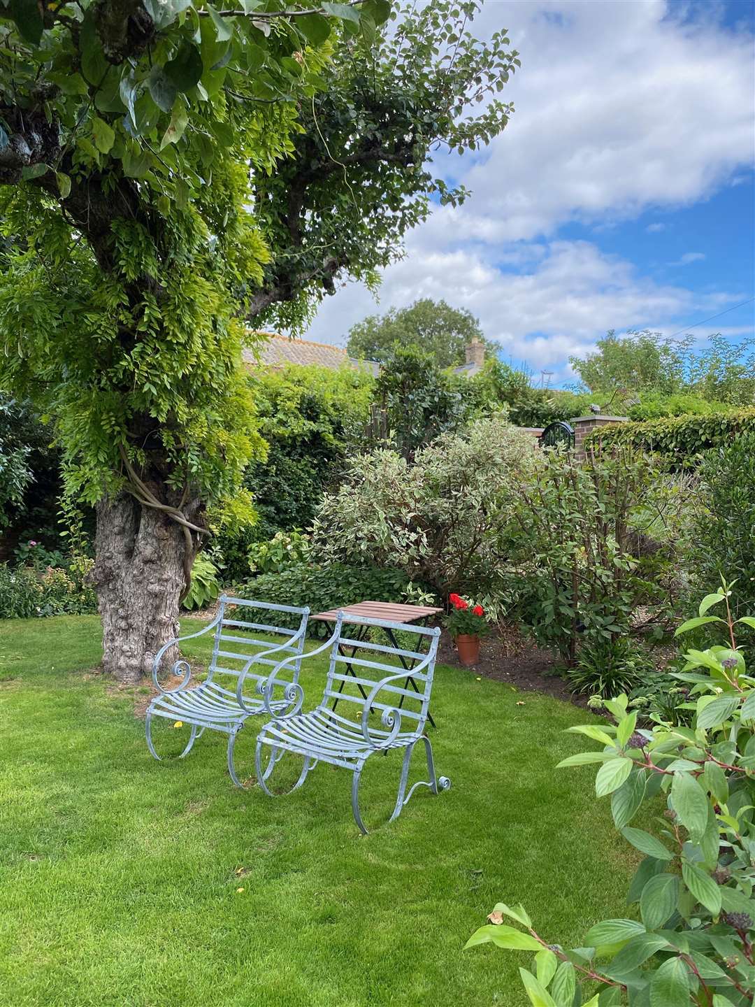Open Gardens in Cambridgeshire 2022: Manor House, Fenstanton (56821691)
