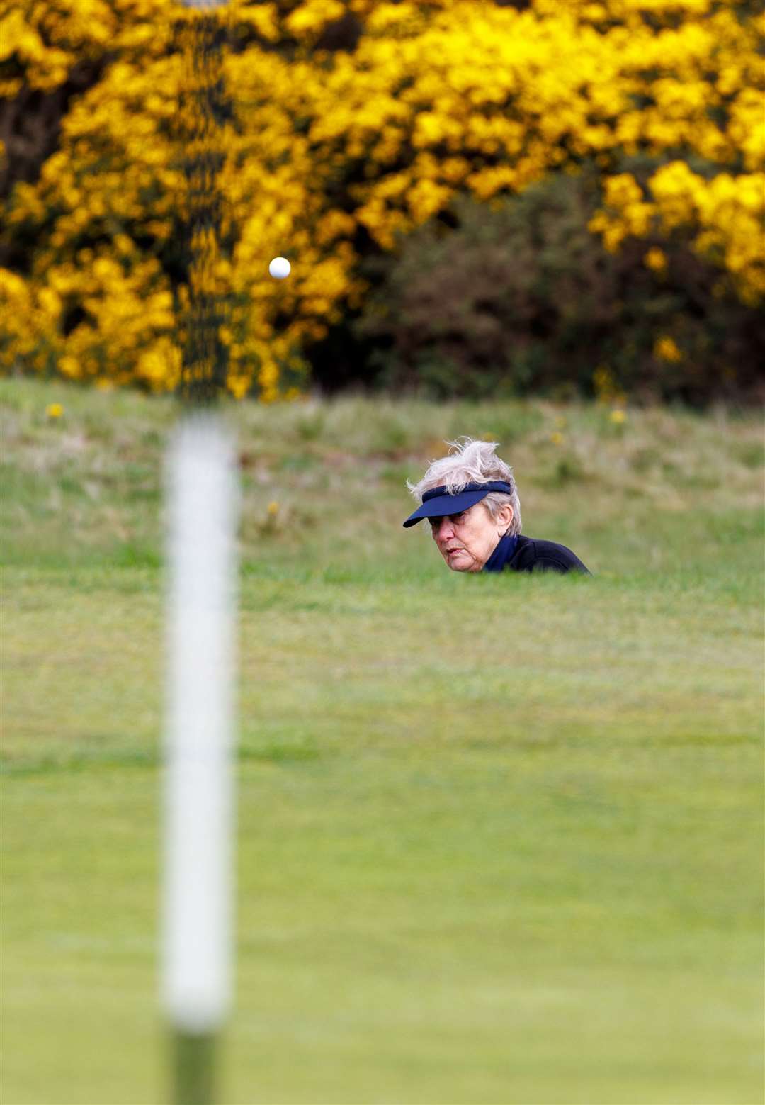 March golfers in action