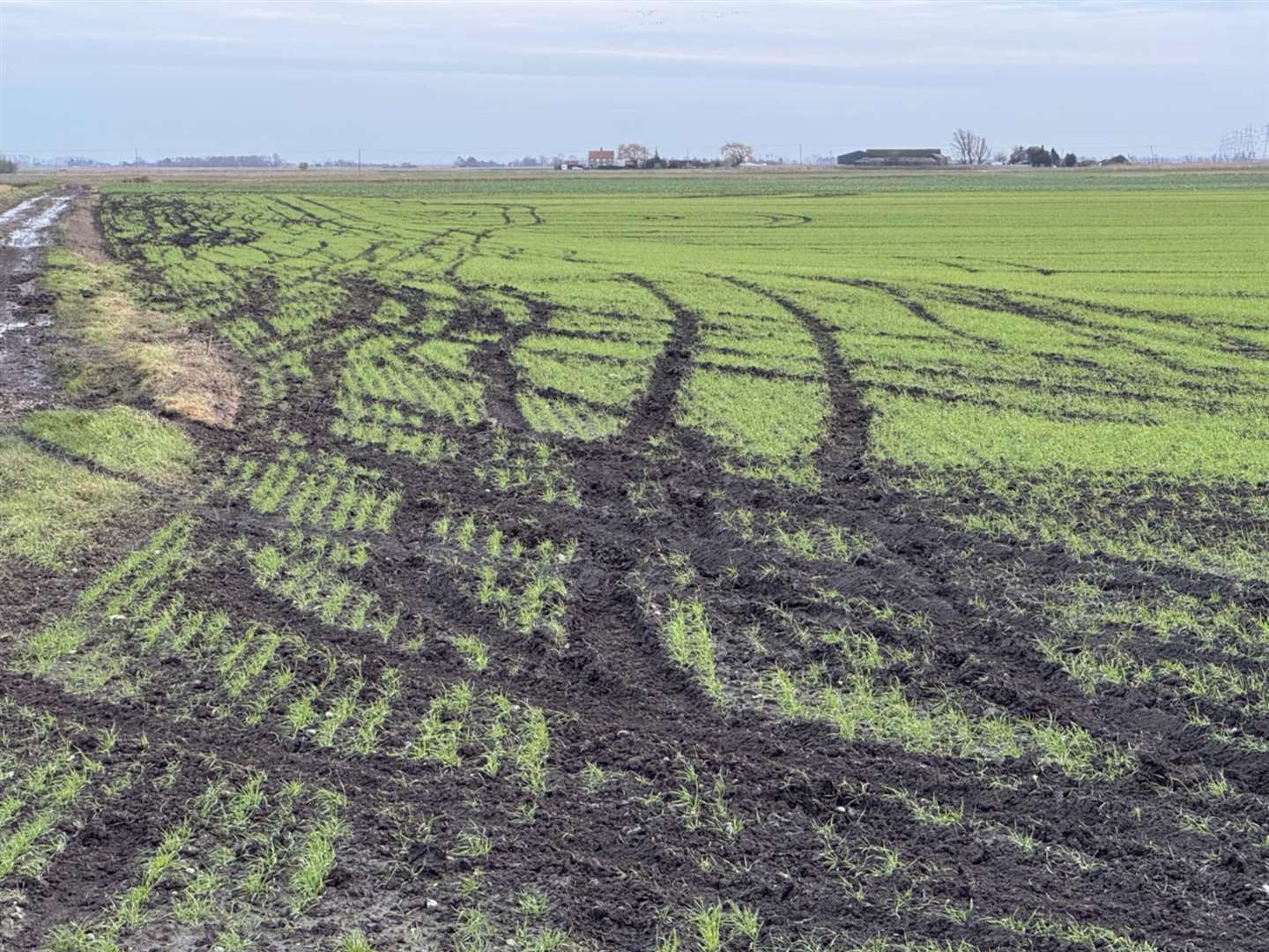 Farmers have been left counting the cost of the damage caused by the hare coursers