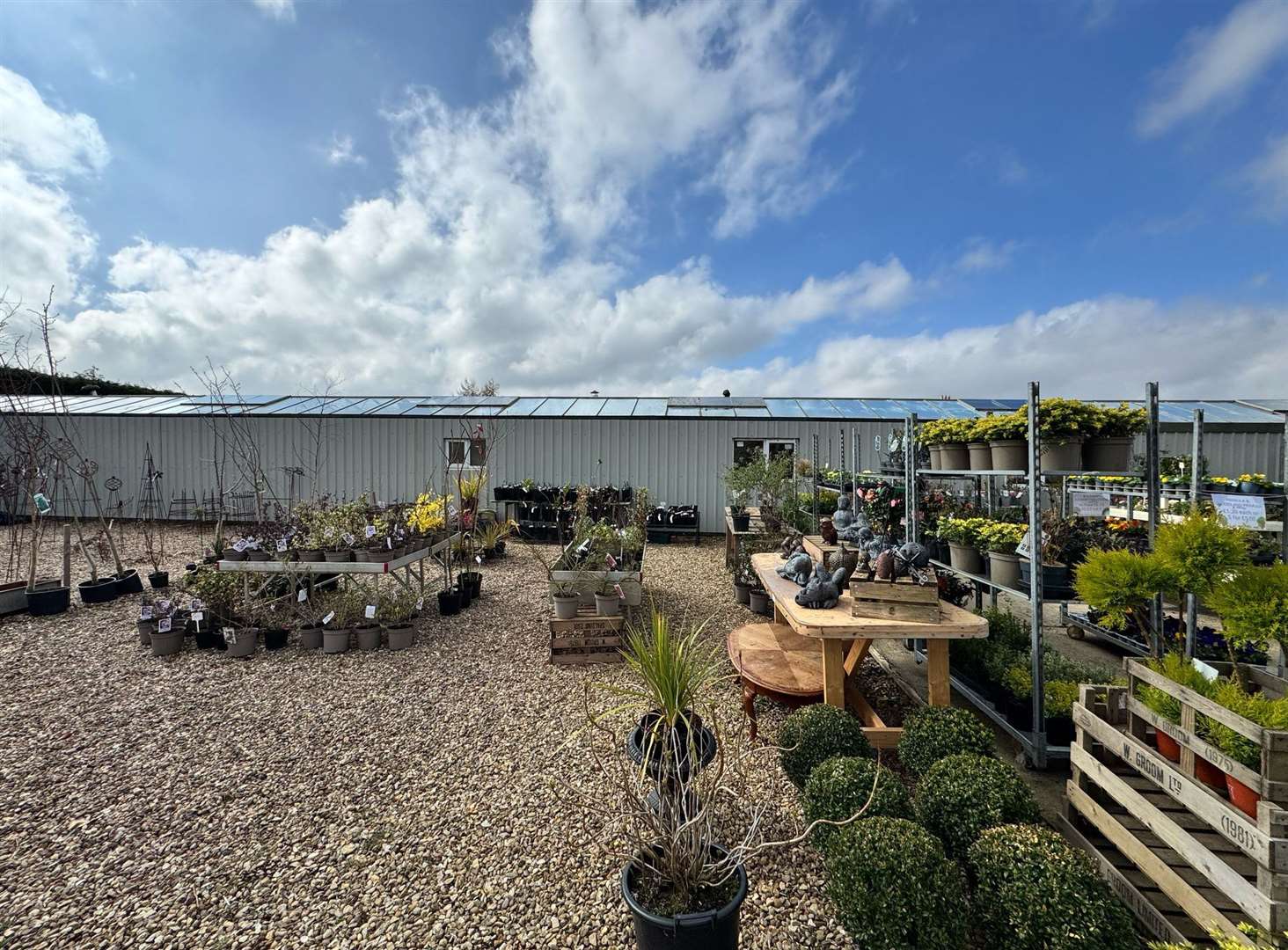 Ellie has swapped the corporate world to gardening and starting her own business