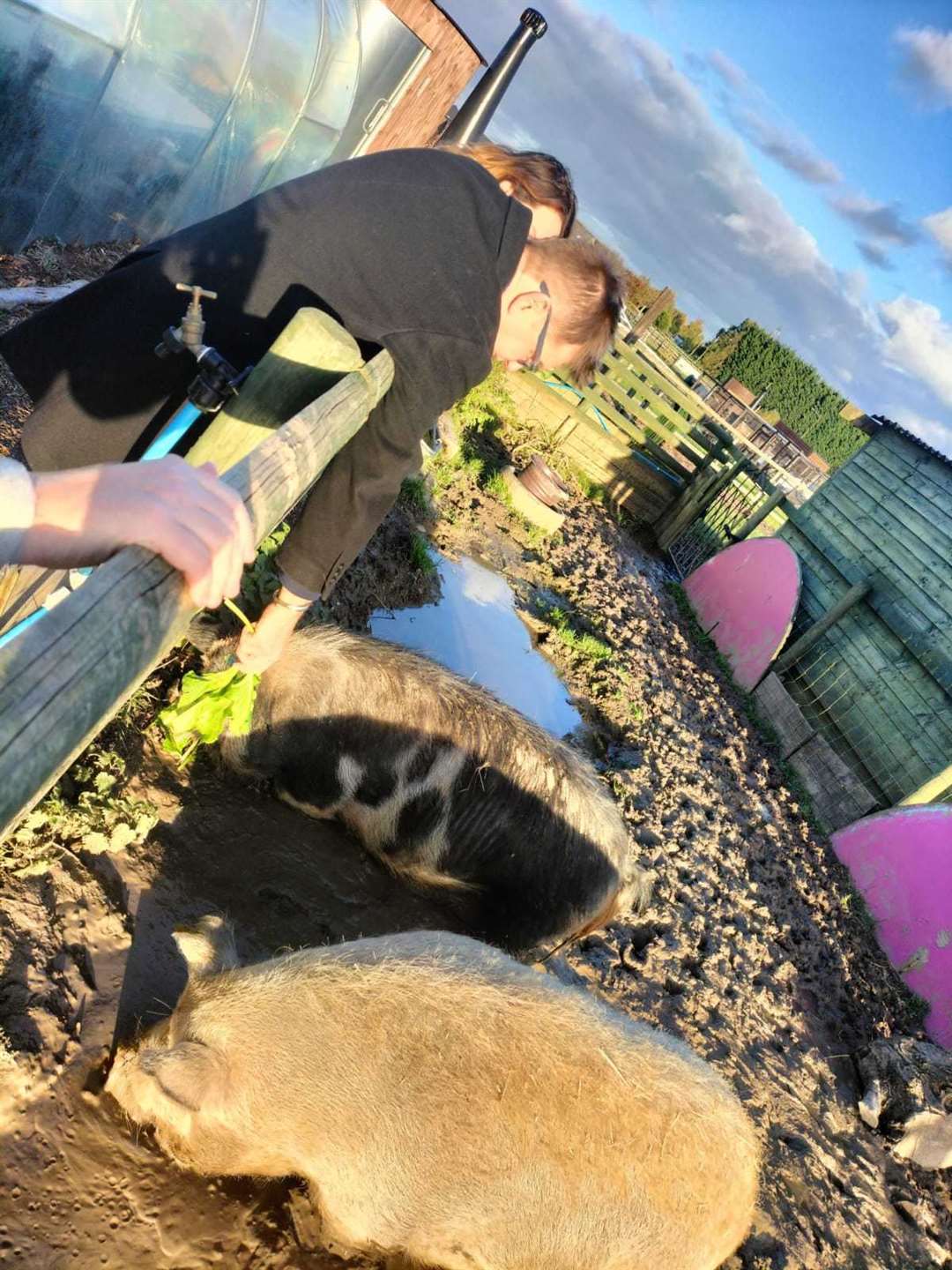 Cambridgeshire’s Mayor Dr Nik Johnson recently donned his wellies and visited Wisbech community farm which has received funding from the Combined Authority’s Market Towns Programme.