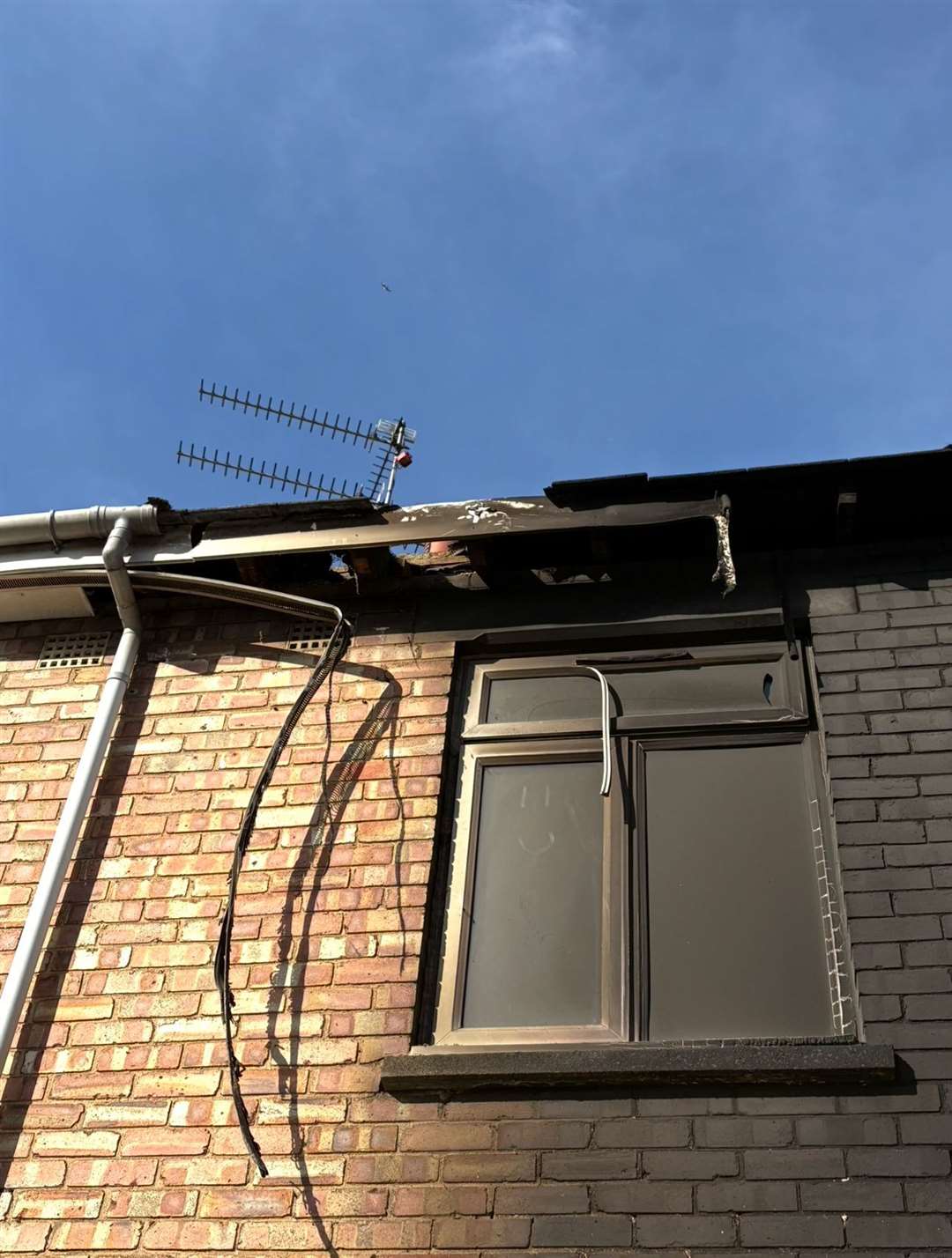 Some of the damage done to Lisa's Property