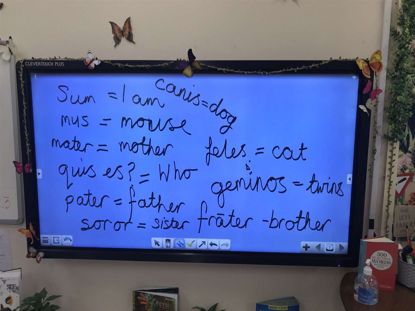 Pupils at Peckover Primary have been learning Latin and classical civilisation. (51570141)