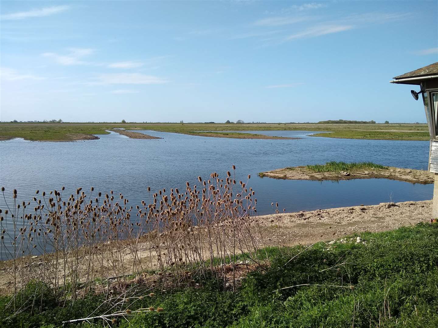 The main lagoon at Welney Wetland Centre. Photo: Emma Brand. (33933496)