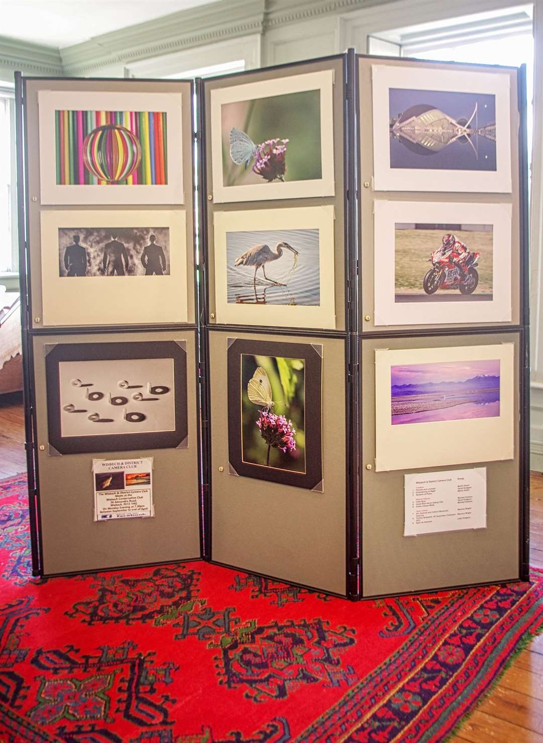 The exhibition is the club's 74th annual display.