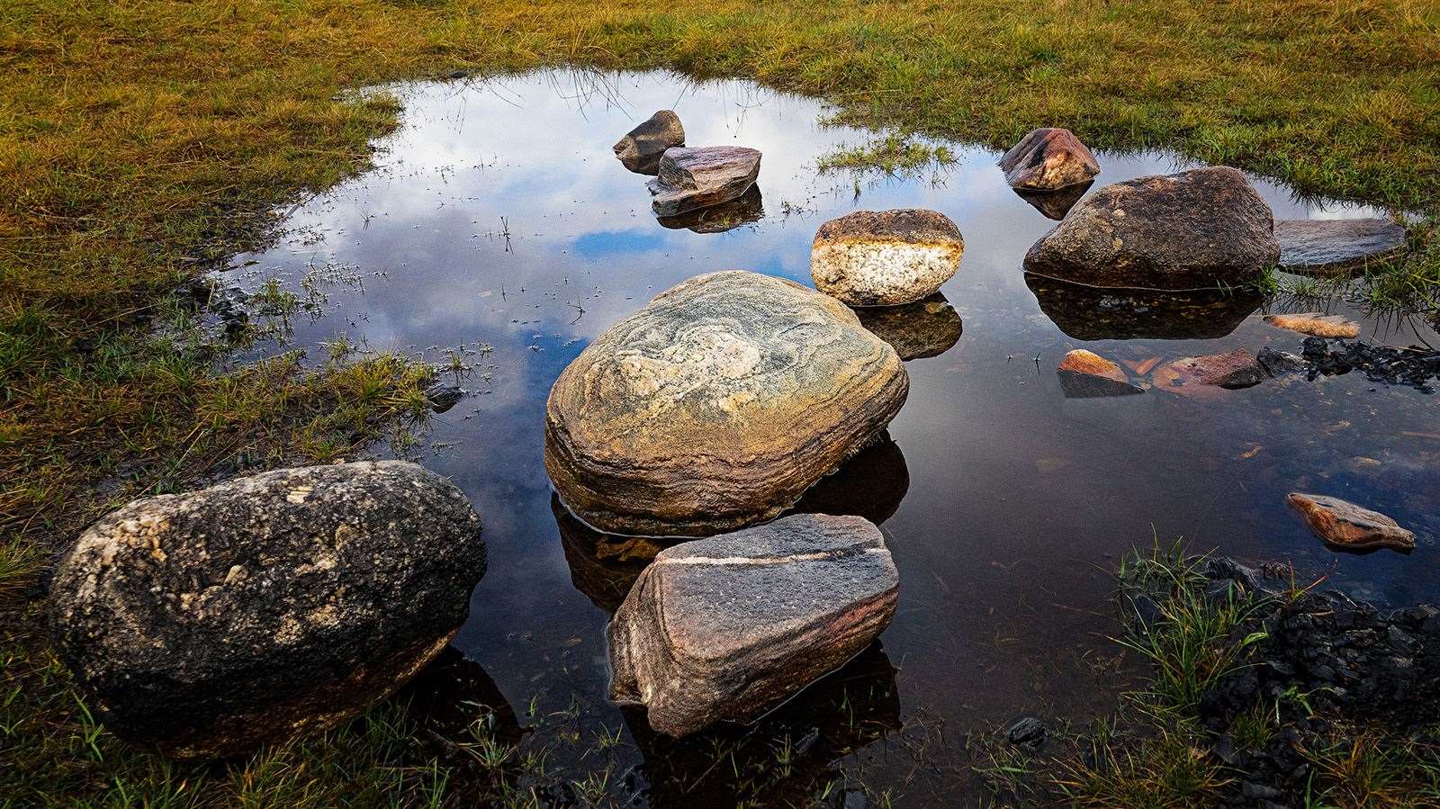 Stepping Stones - Judy Hodgson
