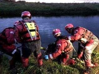 Firefighters from Chatteris rescued this horse from water at Sutton Gault. (30769764)