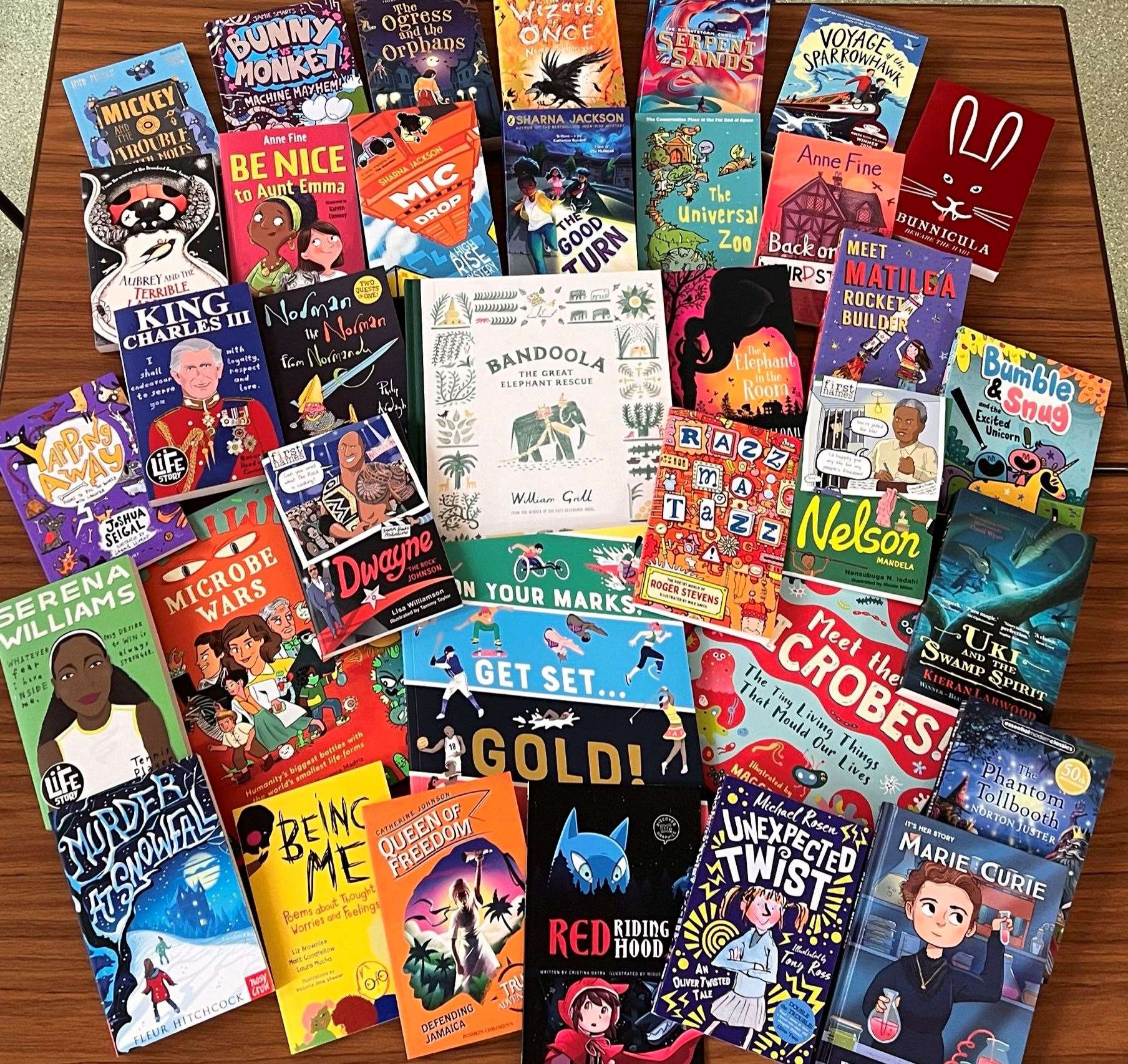 Some of the new books the children at Upwell Academy will be able to borrow.