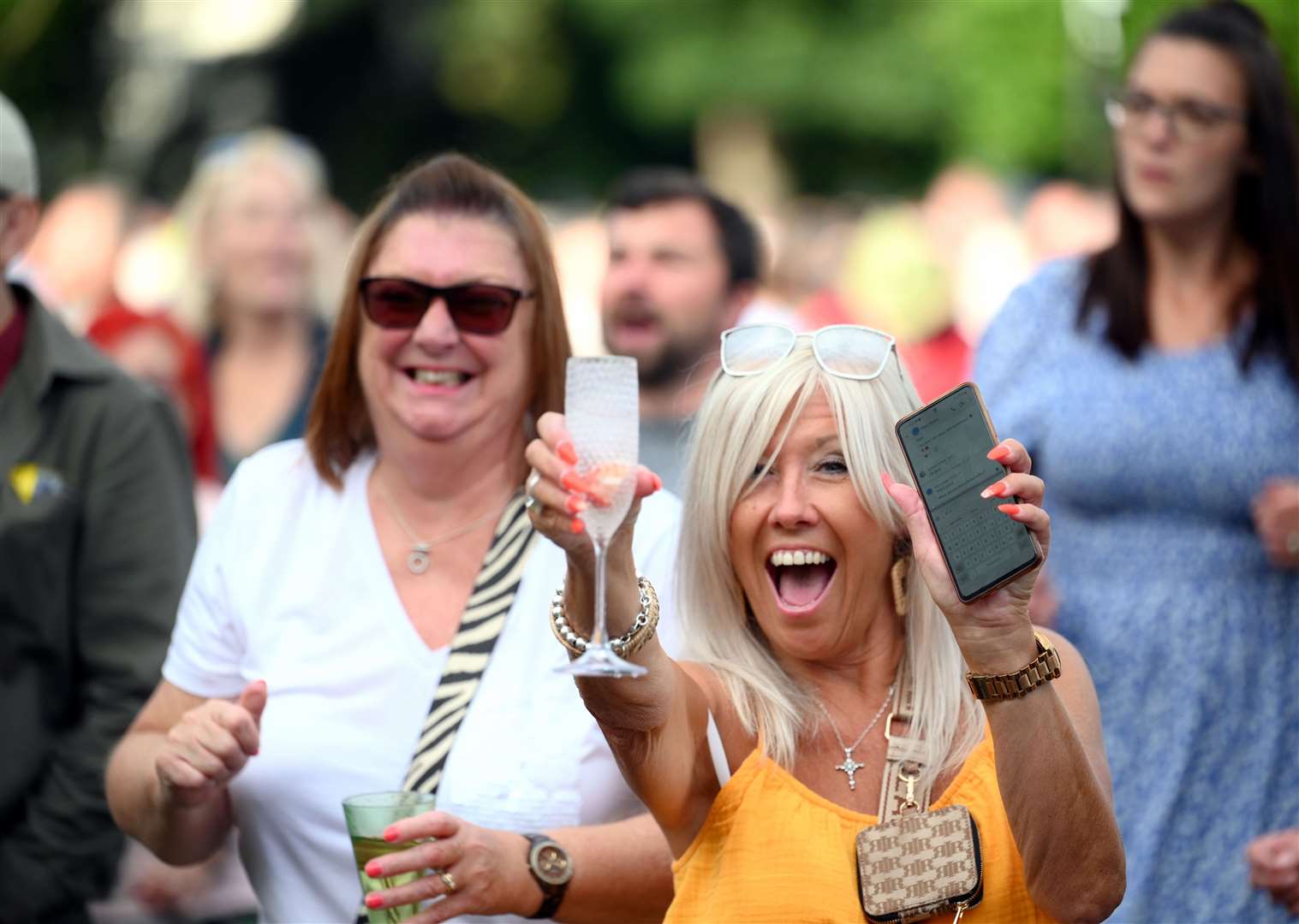 Wisbech Rock FestivalThe crowds