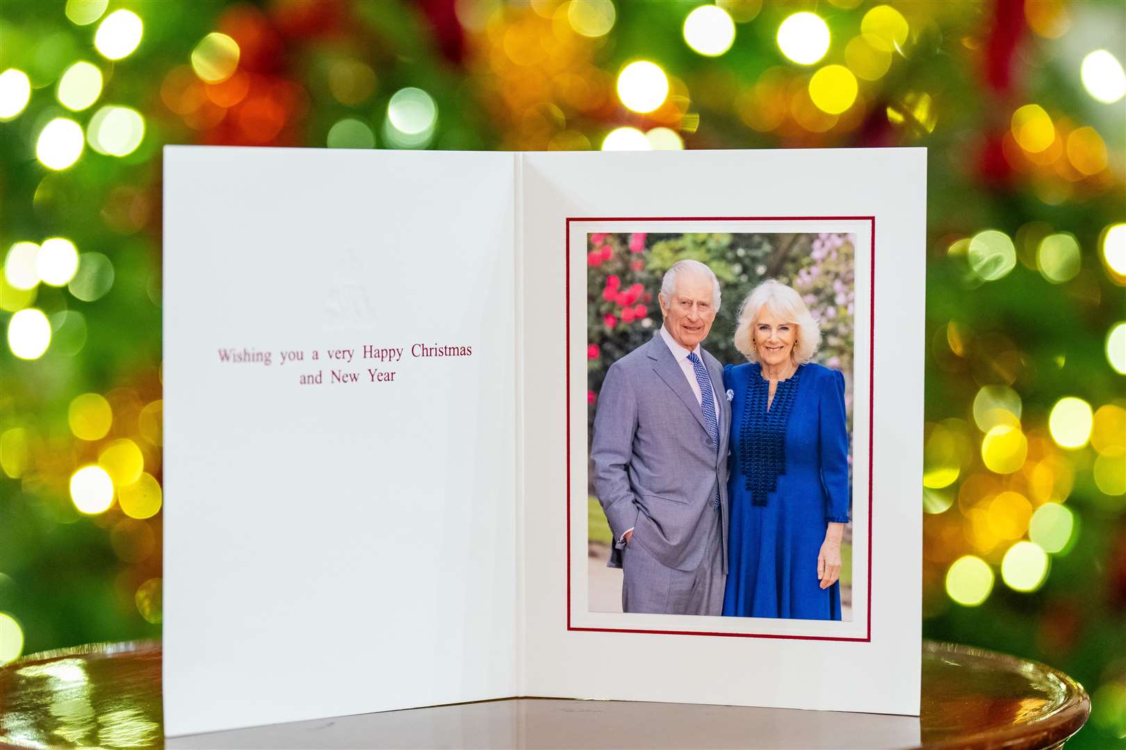 The original Millie Pilkington photograph of the King and Queen (Buckingham Palace/Millie Pilkington/PA)