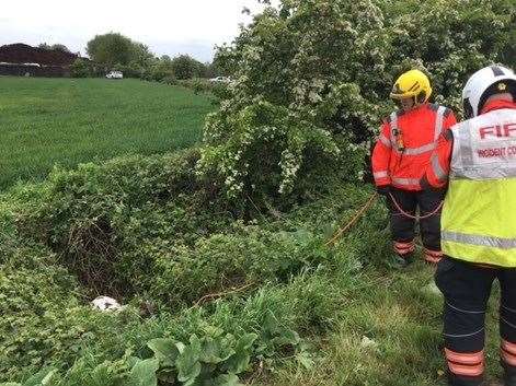 This pony was stuck in a bramble covered ditch in Ramsey. (30769761)