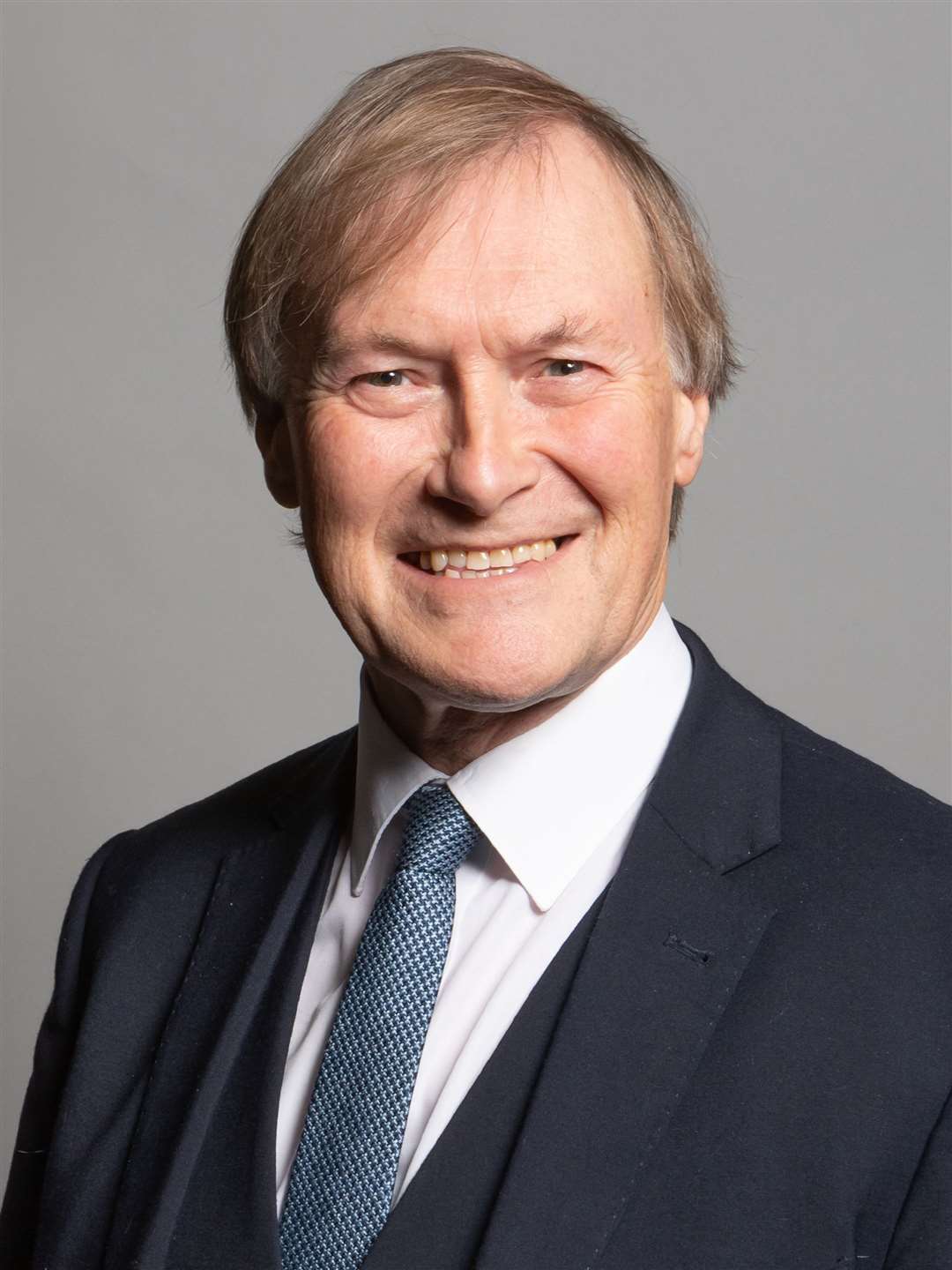 Sir David Amess was killed during a constituency surgery (UK Parliament/PA)