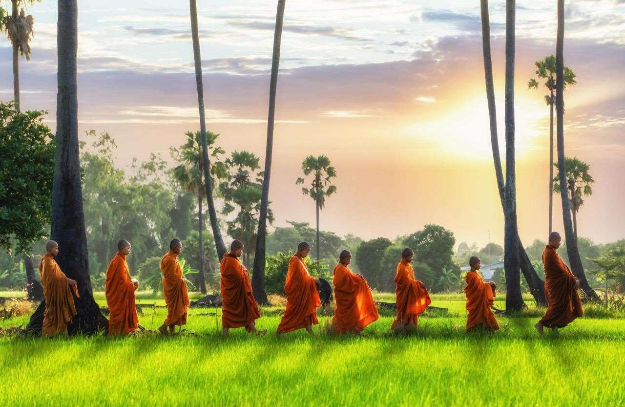 A stay in Elephant Hills is an experience on offer in Thailand